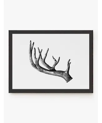 Cuadro Asta Alce | Be Minimal