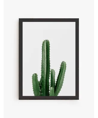 Cuadro Cactus en atardecer | Be Minimal