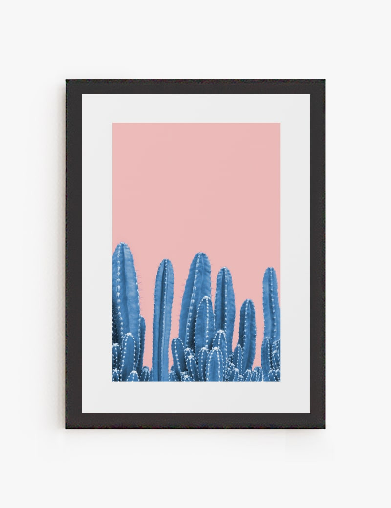 Lámina impresa | Cuadro Cactus Color 03