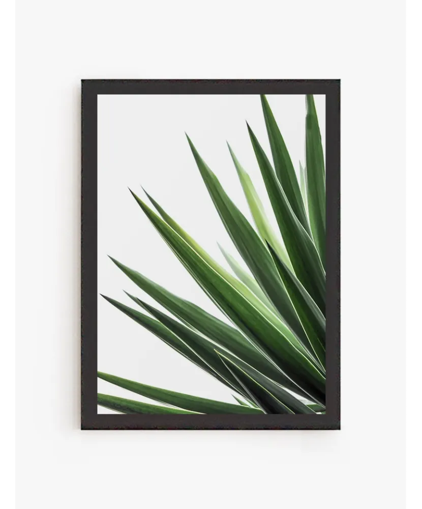 Cuadro Yuca | Be Minimal