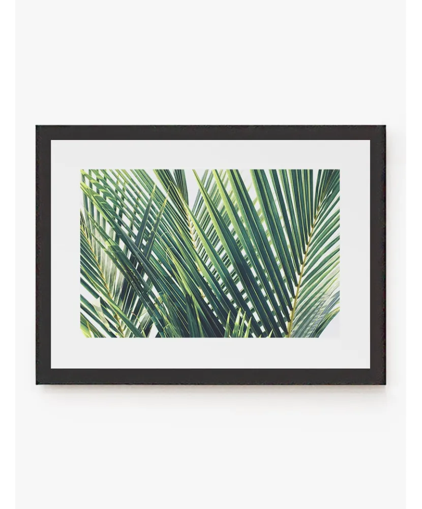 Cuadro Palm Trees | Be Minimal