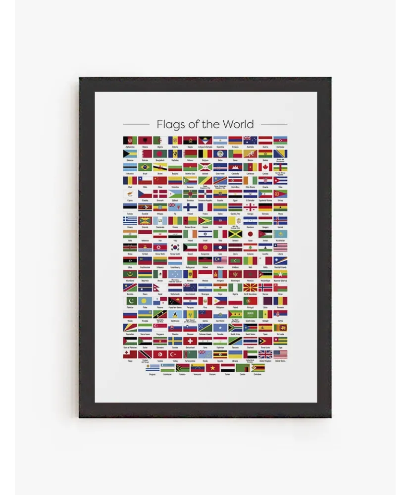 Cuadro Flags of the World | Be Minimal