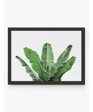 Cuadro Arbol Banana | Be Minimal