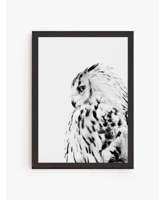Cuadro Buho Blanco | Be Minimal