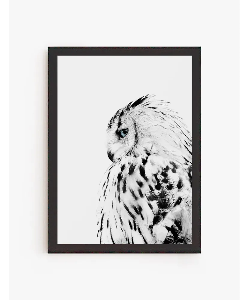 Cuadro Buho Blanco | Be Minimal