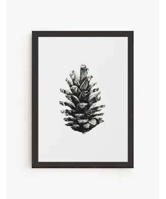 Cuadro Piñon | Be Minimal