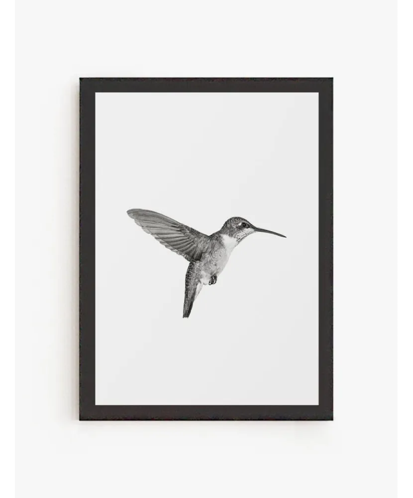 Cuadro Picaflor | Be Minimal