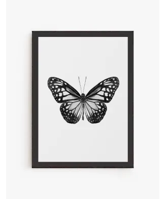 Cuadro Mariposa 01 | Be Minimal