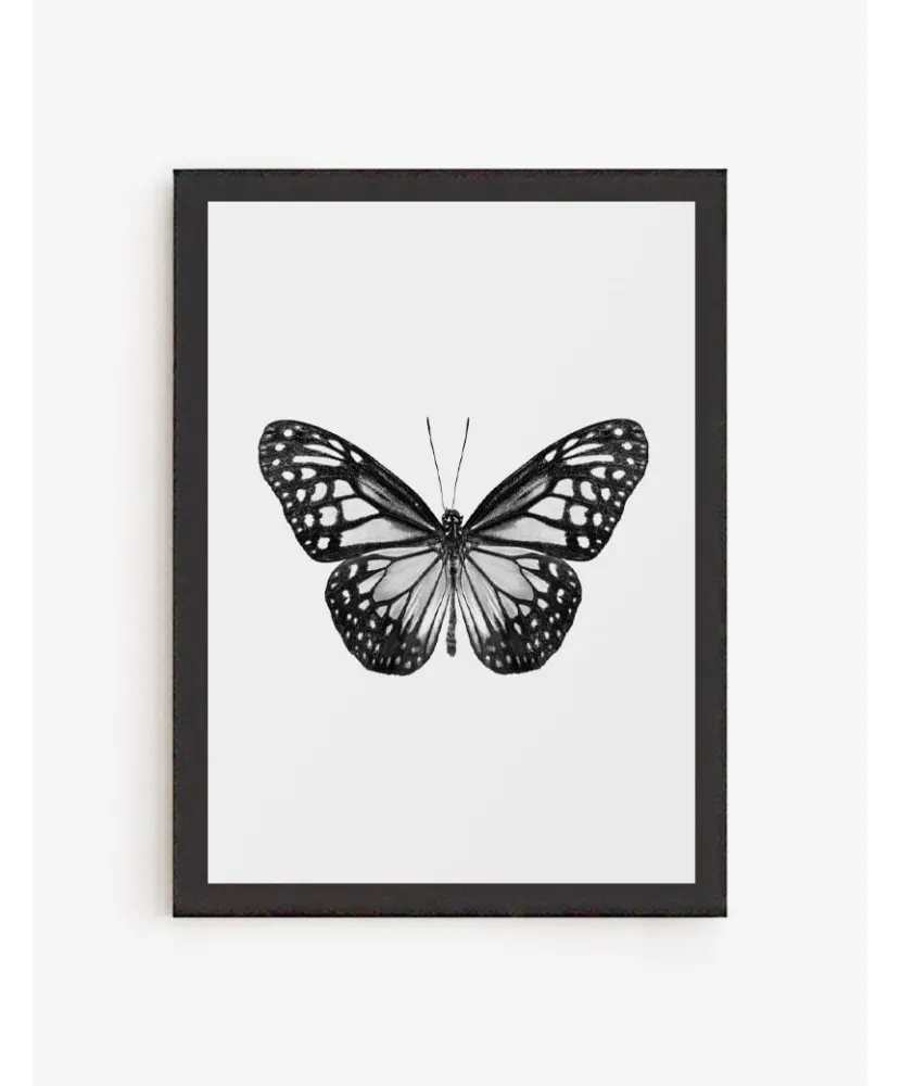 Cuadro Mariposa 01 | Be Minimal
