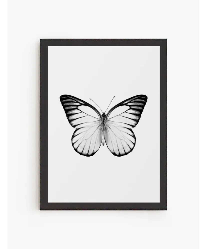 Cuadro Mariposa 03 | Be Minimal