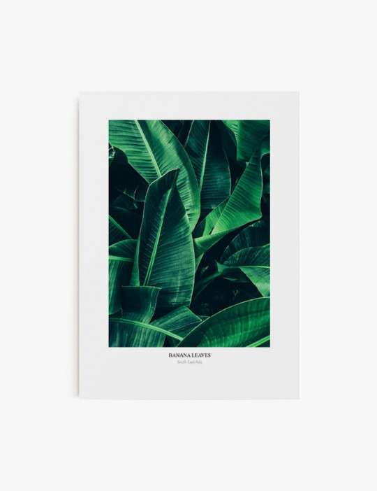 Banana Leaves