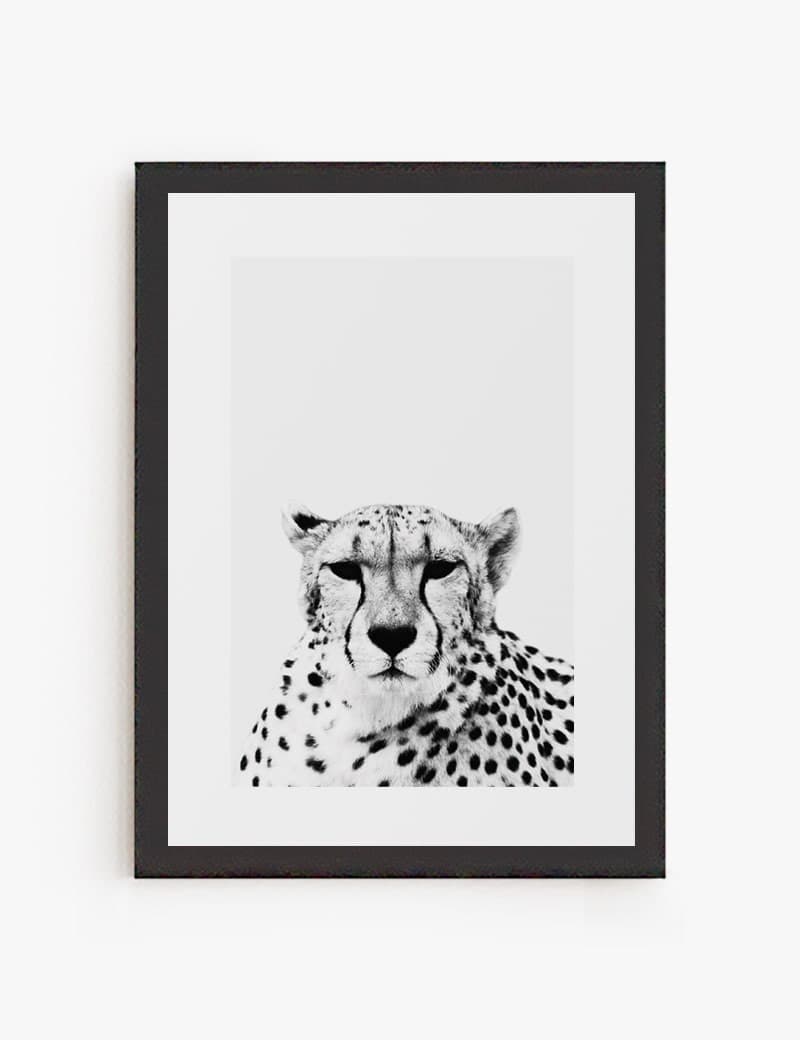 Lámina impresa | Cuadro Cheetah
