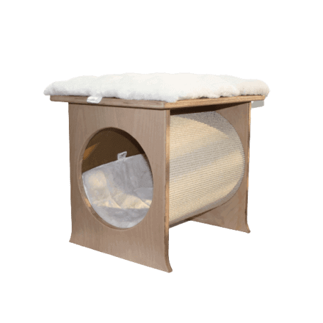 Cat house with pillow