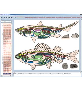 Zoologie în clasă, CD-ROM interactiv