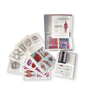 Set pentru studenti - bacterii - 6 articole