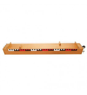 Demonstrație Monochord