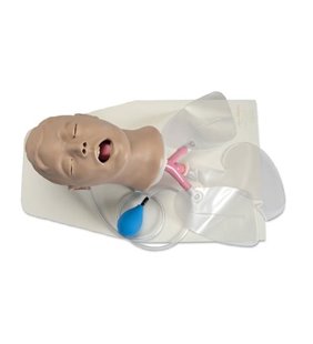 Manechin adult - gestionarea cailor respiratorii cu stand - Airway Larry Adult