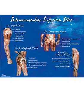 Afișuri de injecție intramusculară