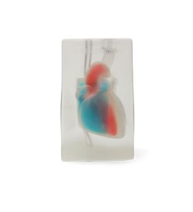 Model de formare ultrasunete transparente cardiace Blue Phantom CAE