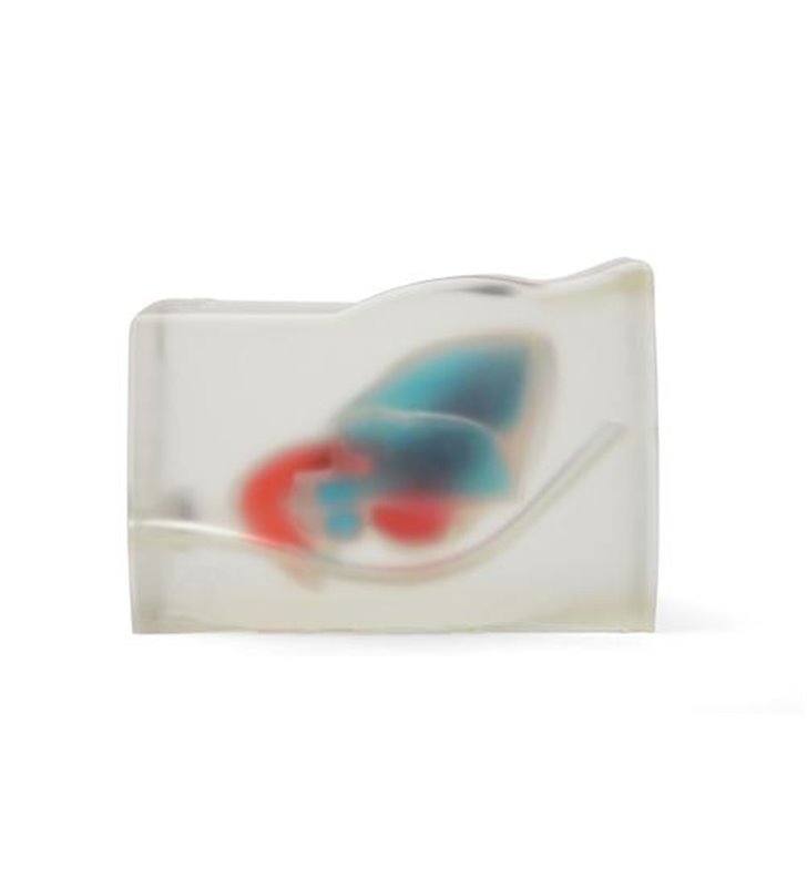 Model de formare ultrasunete transparente cardiace Blue Phantom CAE