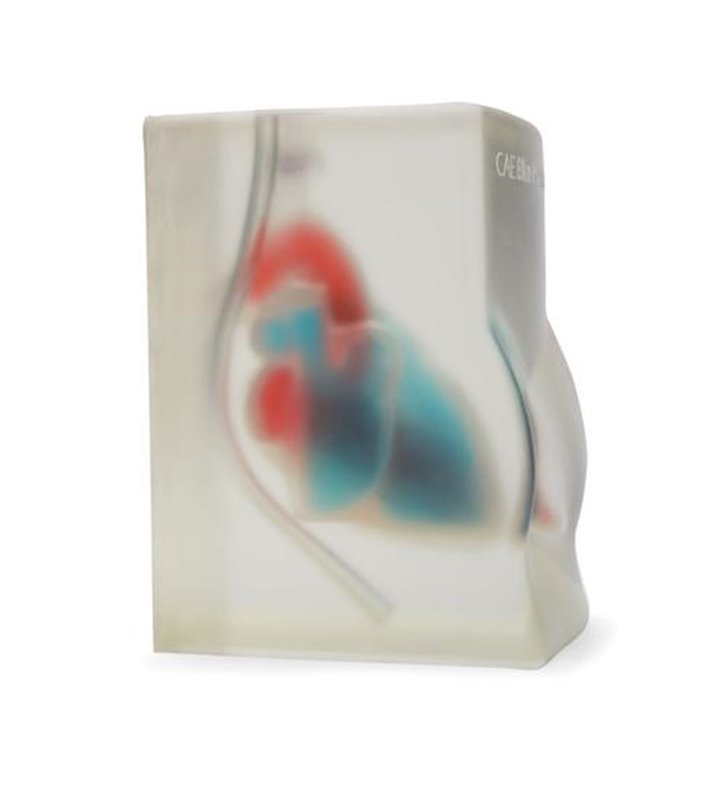 Model de formare ultrasunete transparente cardiace Blue Phantom CAE