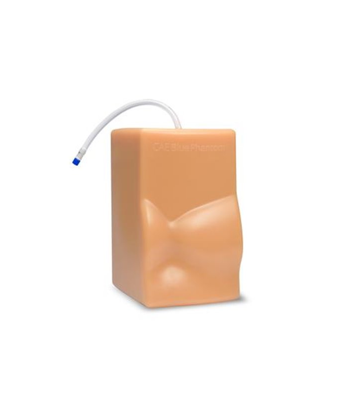 Model de formare ultrasunete transparente cardiace Blue Phantom CAE