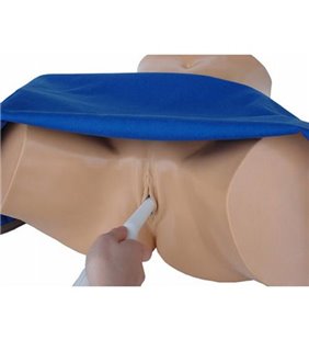 Model de antrenament cu ultrasunete, transvaginal sonohisterografie si sonosalpinografie - Blue Phantom