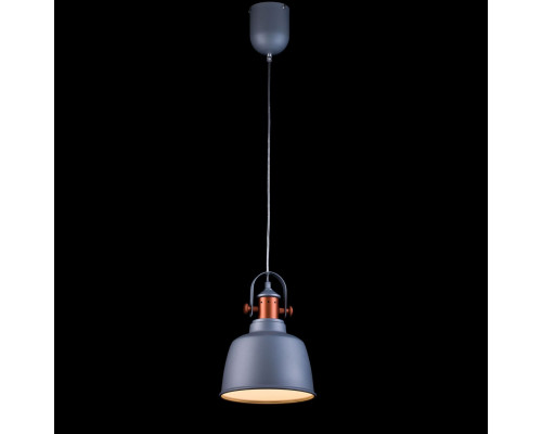 Дополнительное фото Светильник подвесной Lucia Tucci Industrial 1820.1 Sand Silver: Купить в Интернет магазин освещения GCSVET.RU