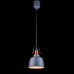 Дополнительное фото Светильник подвесной Lucia Tucci Industrial 1820.1 Sand Silver: Купить в Интернет магазин освещения GCSVET.RU
