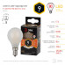 Дополнительное фото Лампа светодиодная Эра E14 9W 2700K F-LED P45-9w-827-E14 frost Б0047021: Купить в Интернет магазин освещения GCSVET.RU