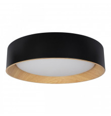 Светильник потолочный Loft IT Coin 10202 Black