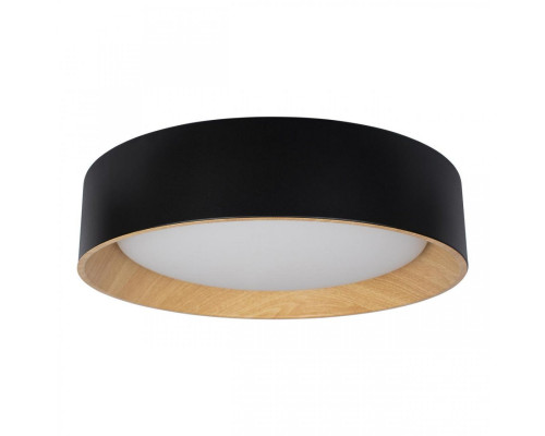 Основное фото Светильник потолочный Loft IT Coin 10202 Black: Купить в Интернет магазин освещения GCSVET.RU