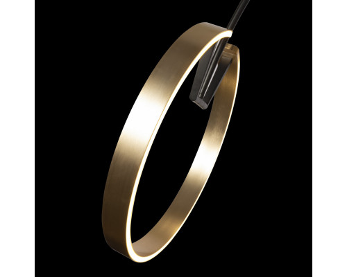 Дополнительное фото Напольный светильник Loft IT RING 10027: Купить в Интернет магазин освещения GCSVET.RU
