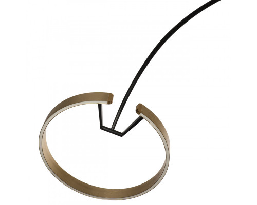 Дополнительное фото Напольный светильник Loft IT RING 10027: Купить в Интернет магазин освещения GCSVET.RU