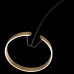 Дополнительное фото Напольный светильник Loft IT RING 10027: Купить в Интернет магазин освещения GCSVET.RU