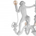 Дополнительное фото Люстра подвесная Loft IT Monkey 10314 White: Купить в Интернет магазин освещения GCSVET.RU