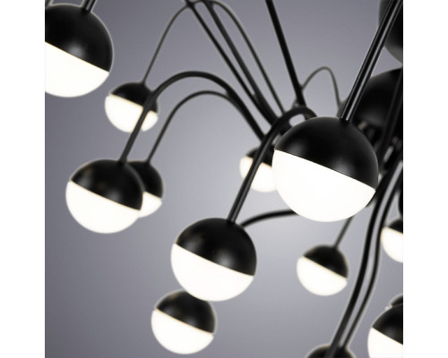 Дополнительное фото Люстра потолочная ARTE Lamp A3619PL-24BK: Купить в Интернет магазин освещения GCSVET.RU