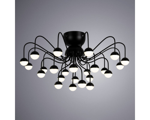 Дополнительное фото Люстра потолочная ARTE Lamp A3619PL-24BK: Купить в Интернет магазин освещения GCSVET.RU