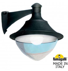 Светильник настенный для улицы Fumagalli Vivi V50.254.000.AXH27
