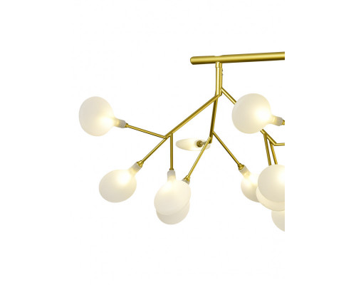 Дополнительное фото Люстра потолочная Natali Kovaltseva GRACE 75128/12C GOLD SATIN: Купить в Интернет магазин освещения GCSVET.RU