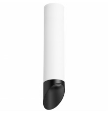 Светильник накладной Lightstar RULLO R49637