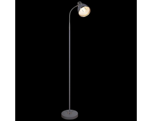 Основное фото Напольный светильник Reluce 03049-0.6-01B GY: Купить в Интернет магазин освещения GCSVET.RU