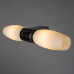 Дополнительное фото Светильник для подстветки зеркал Arte Lamp Aqua A1209AP-2CC: Купить в Интернет магазин освещения GCSVET.RU
