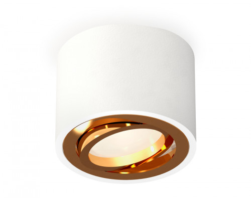 Основное фото Светильник потолочный Ambrella Light Techno Spot XS7510004 (C7510, N7004): Купить в Интернет магазин освещения GCSVET.RU
