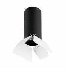 Светильник накладной Lightstar RULLO R487436