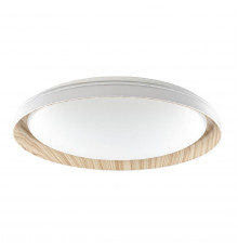 Светильник потолочный Citilux Mega CL752452G