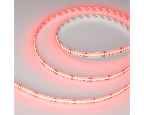 Дополнительное фото Лента светодиодная Arlight CSP-X840-12mm 24V RGBW-Day (17.2 W/m, IP20, 5m)  046936: Купить в Интернет магазин освещения GCSVET.RU