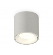 Светильник потолочный Ambrella Light Techno Spot XS7533020 (C7533, N7010)