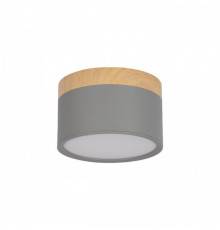 Светильник накладной Loft IT Grape 10162 Grey