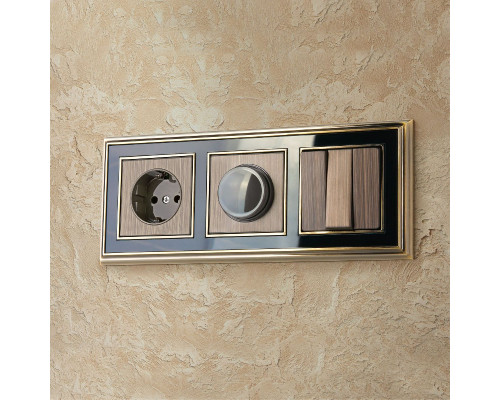 Дополнительное фото Накладка для диммера Werkel 4690389161711 W1149012 a051070: Купить в Интернет магазин освещения GCSVET.RU